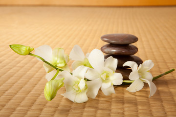 Zen stones and orchids