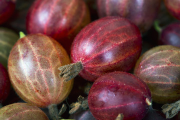 Top view of the red gooseberry fruit.