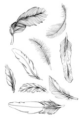 set of feather - 167450860