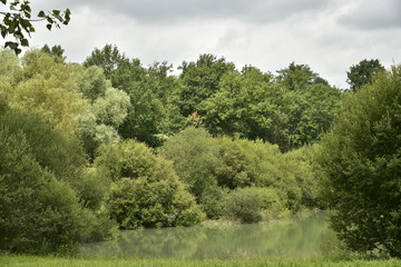 Petit rayon de soleil sur le feuillage dense de la forêt au bout de l'étang aux eaux couleur émeraude près de Champagne ,au Périgord Vert