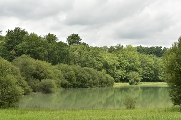 Fototapeta na wymiar Reflet de la forêt dans les eaux couleurs émeraudes de l'étang principal près de Champagne, au Périgord Vert