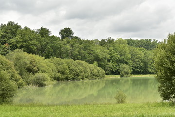 Reflet de la forêt dans les eaux émeraudes de l'étang principal ,sous une éclaircie ,près du...