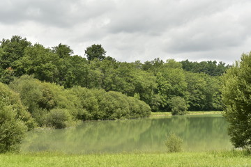 Reflet de la nature dans les eaux émeraudes de l'étang principal près de Champagne ,au Périgord Vert 