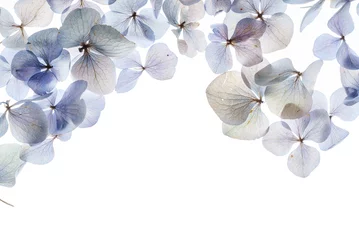 Fotobehang Hydrangea bloemen compositie