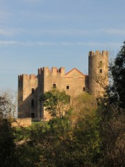 Fototapeta na wymiar Château d'Essalois, gorges de la Loire, Forez