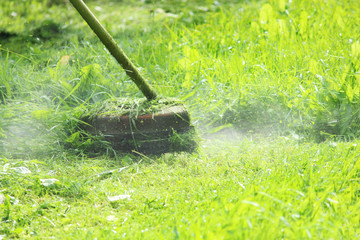 Worker mowing green grass with a trimming machine.
