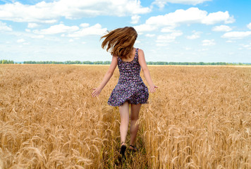 Back view of beautiful young woman running in golden wheat field with cloudy blue sky background, free space. Liberty, peace of mind concept. Girl in spikes of ripe wheat field under blue sky