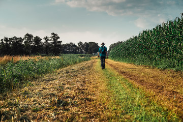 Hiker with hat walking along corn field. © ysbrandcosijn