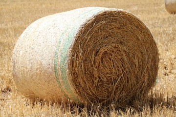 Big straw bale in summer, Australia