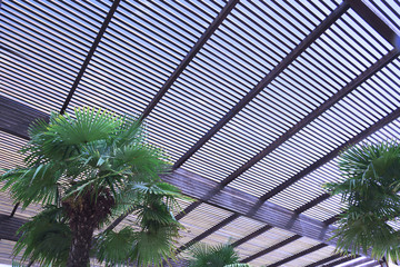 Wooden slat roof against the blue sky. Some palm trees in a natural terrace.