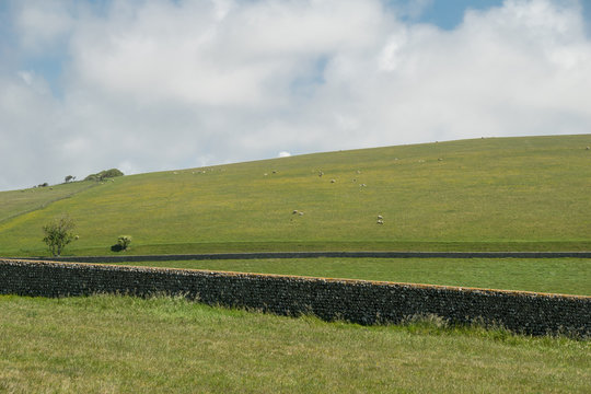 Campagna inglese - Sussex Downs