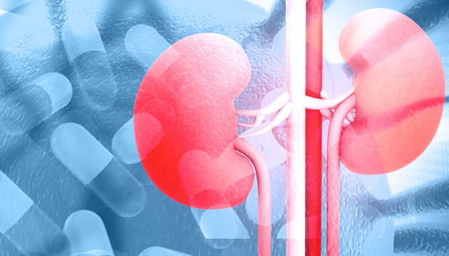 Human kidney with medicines. 3d illustration .