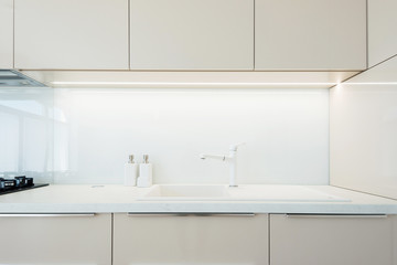 Contemporary kitchen interior