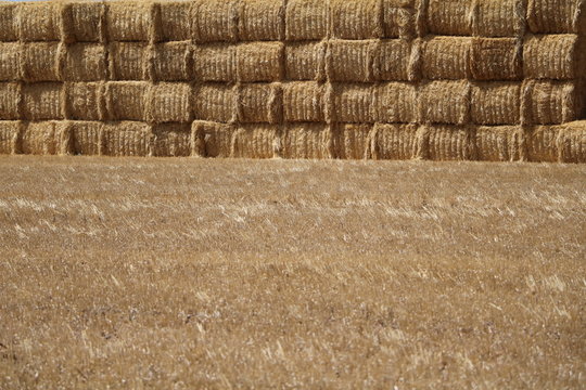 Straw bales in the wheat belt of Western Australia