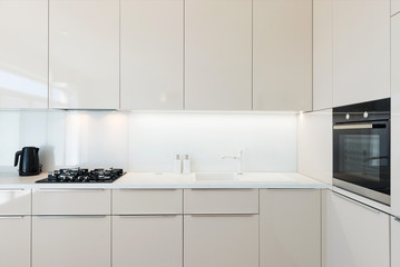 Contemporary kitchen interior