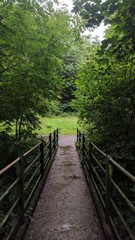 Nature Bridge