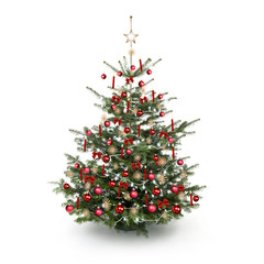 Rot Geschmückter Weihnachtsbaum