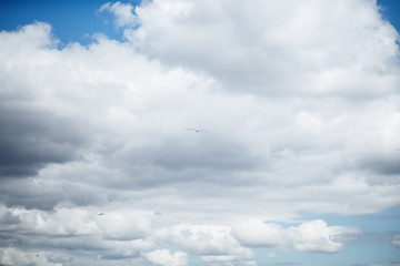 Sky with lush white clouds