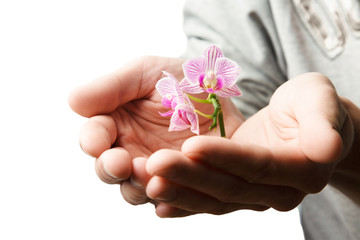 Hands holding small young flower, young orchid isolated on white background, world earth day concept, ecology