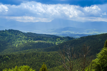 Carpathian mountains in summer