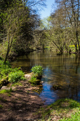 Wanderung in Altensteig im Nordschwarzwald im Frühling an einem Frühsommertag mit blauem Himmel entlang der Nagold