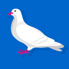 White bird sitting