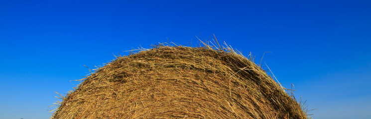 Macro shot on hay ball isolated on blue sky.