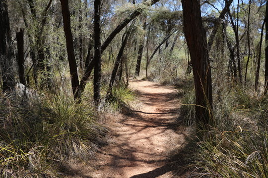 Way to Wave Rock in Australia, Hyden Western Australia