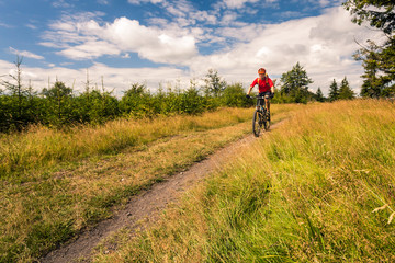 Mountain biker cycling riding in mountains and woods