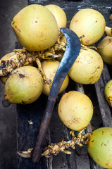 Old machete and coconuts