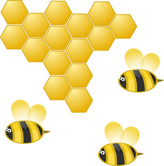 cartoon bee and honeycomb on white, vector illustration, eps10