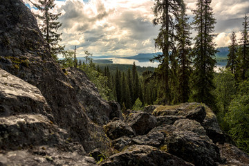 Scenic view