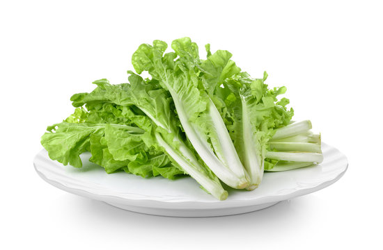lettuce leaves in plate on white background