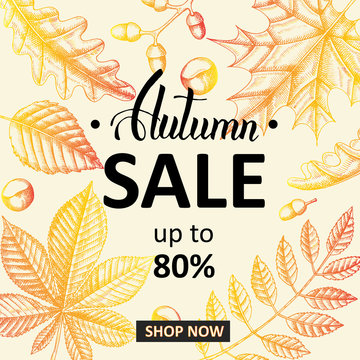 Autumn sale banner. Lettering. Sketch. Hand drawn doodle leaves. Engraving illustration. Up to 80%, shop now. Poster, flyer, brochure, web, advertising