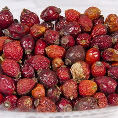 Dried wild rose berries