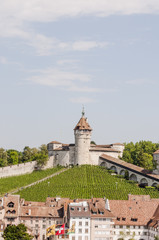 Schaffhausen, Stadt, Altstadt, Munot, Festung, Weinberg, Stadtmauer, Altstadthäuser, historische Häuser, Gassen, Rhein, Sommer, Schweiz