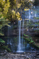 Fototapeta premium Russell Falls, Tasmania