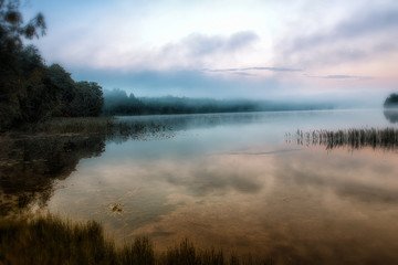 Fototapeta na wymiar Forest lake