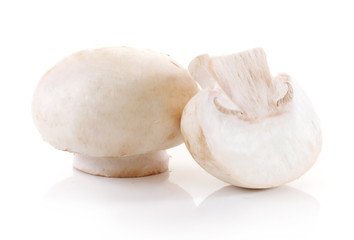 champignon isolated on white background