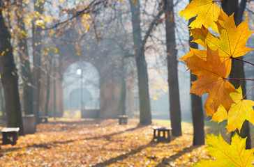 Autumn Colonade with Gateway in the Cemetery