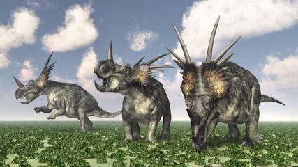 Rucksack Dinosaurier Styracosaurus © Michael Rosskothen