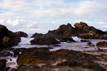Fototapeta na wymiar Rocky seashore with waves at Port Macquarie Australia