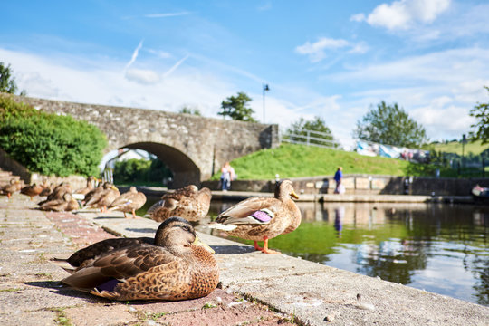 A boat on Brecon canal basin Powys Wales UK