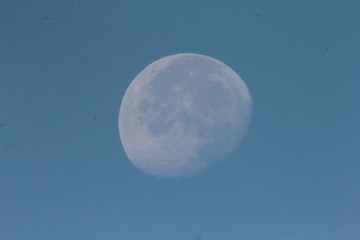 luna quasi piena alla mattina con luce