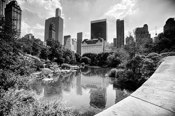 Central park