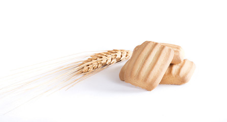 isolated baby biscuits and wheat spike