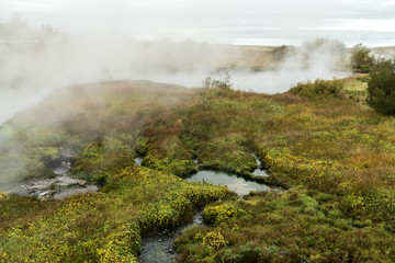 Heisse Quellen von Deildartunguhver, Island