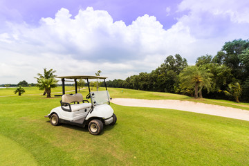 car at golf course, green lawn, background.