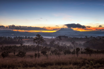 Thung Salang Luang , savanna forests in Thailand.