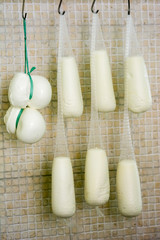 italian fresh cheese called scamorza